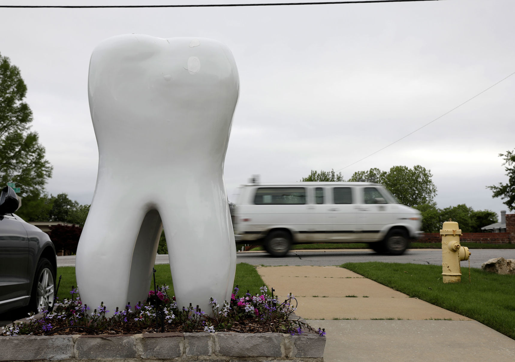 The dentist's very big tooth